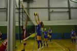 11-12-kld-13-DSC 0055