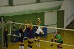 DSC 0001