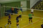 DSC 0006