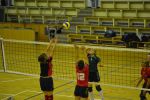 DSC 0007