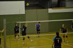 DSC 0009