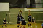DSC 0015