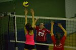 DSC 0019