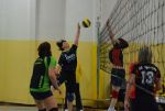 DSC 0031