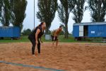 DSC 0107.JPG