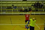 DSC 0126.JPG