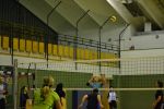 DSC 0133.JPG
