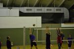 DSC 0137.JPG