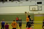 DSC 0139.JPG
