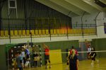 DSC 0151.JPG