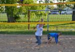 DSC 0178.JPG