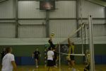 DSC 0413.JPG