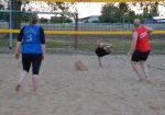 DSC 0690.JPG