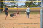 DSC 0734.JPG