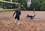 DSC 0810.JPG