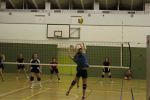 IMG 2683a