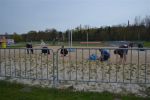 beachaufbau1012DSC 0065