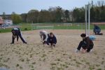 beachaufbau1012DSC 0076