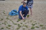 beachaufbau1012DSC 0079